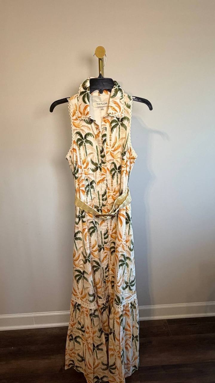 Taylor Printed Taffeta‑Belt Sleeveless Fit & Flare Dress Multi 8 NWOT $138