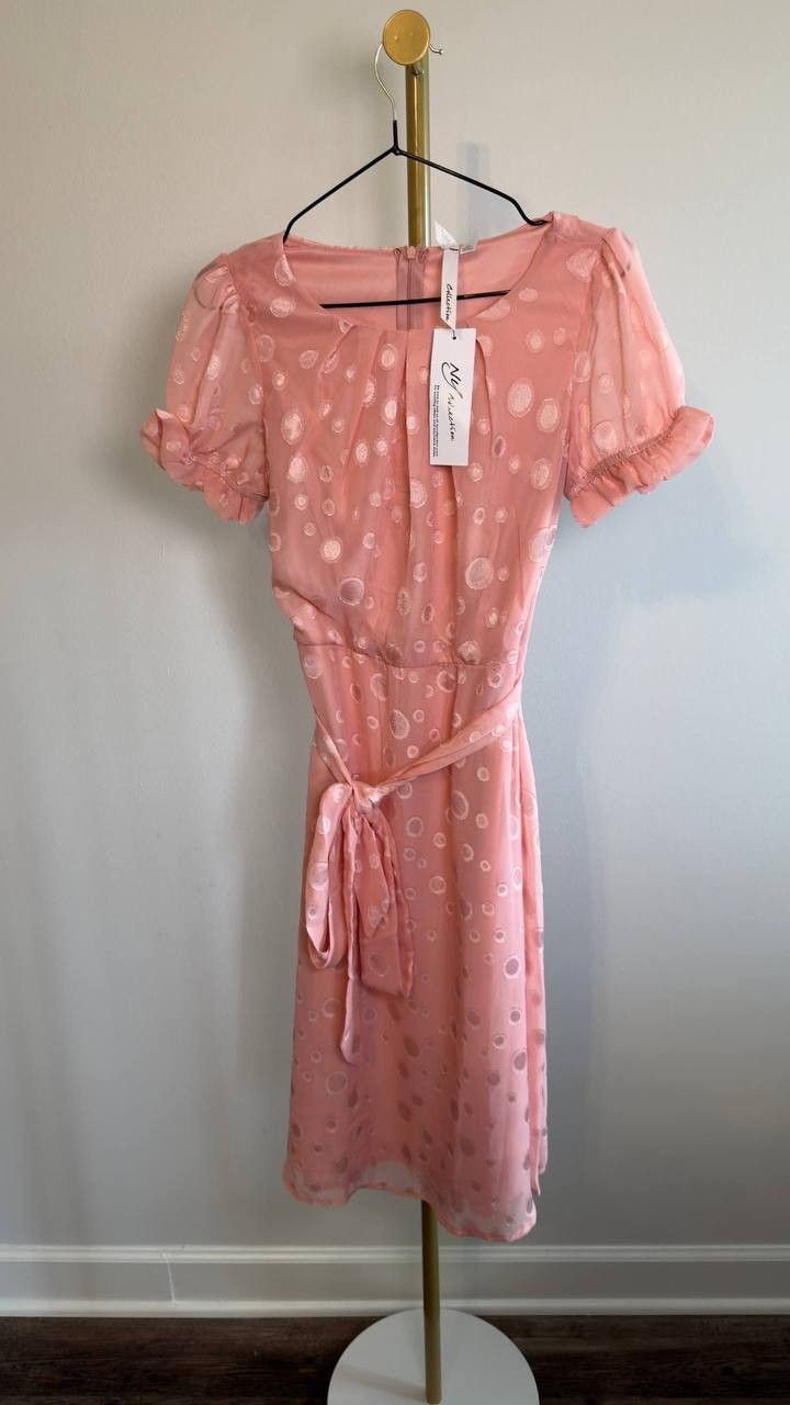 NY Collection Petite Short Sleeve Belted Swiss Dot Dress Mellow Rose PM NWT $41