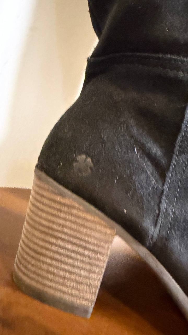 Lucky Brand Black Suede High Boots 8M NIB MSRP $189