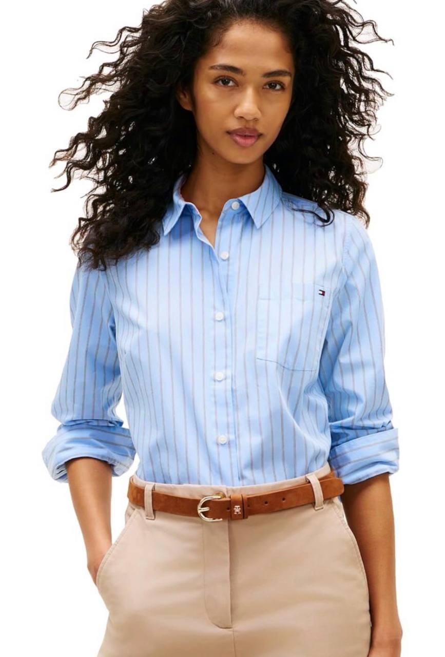 Tommy Hilfiger Classic Blue Striped Button Shirt Long Sleeve L NWT $69.50