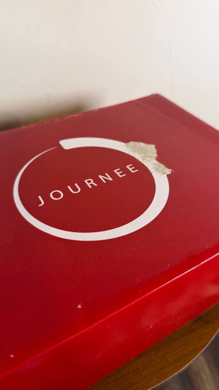 Journee Collection Venus Pumps 12M Pewter Pointed Toe Stiletto NIB msrp$93