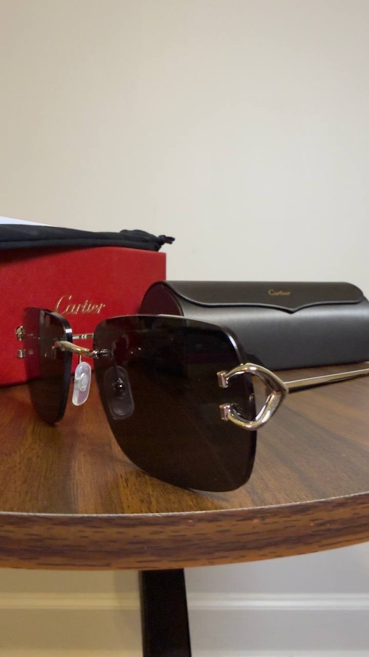 Cartier Sunglasses Silver/Grey OS NWOT