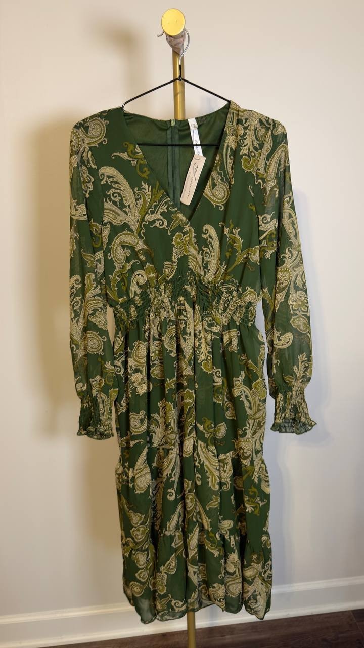 NY Collection Women’s Clip Dot Chiffon Dress Green Paisley M NWT $44