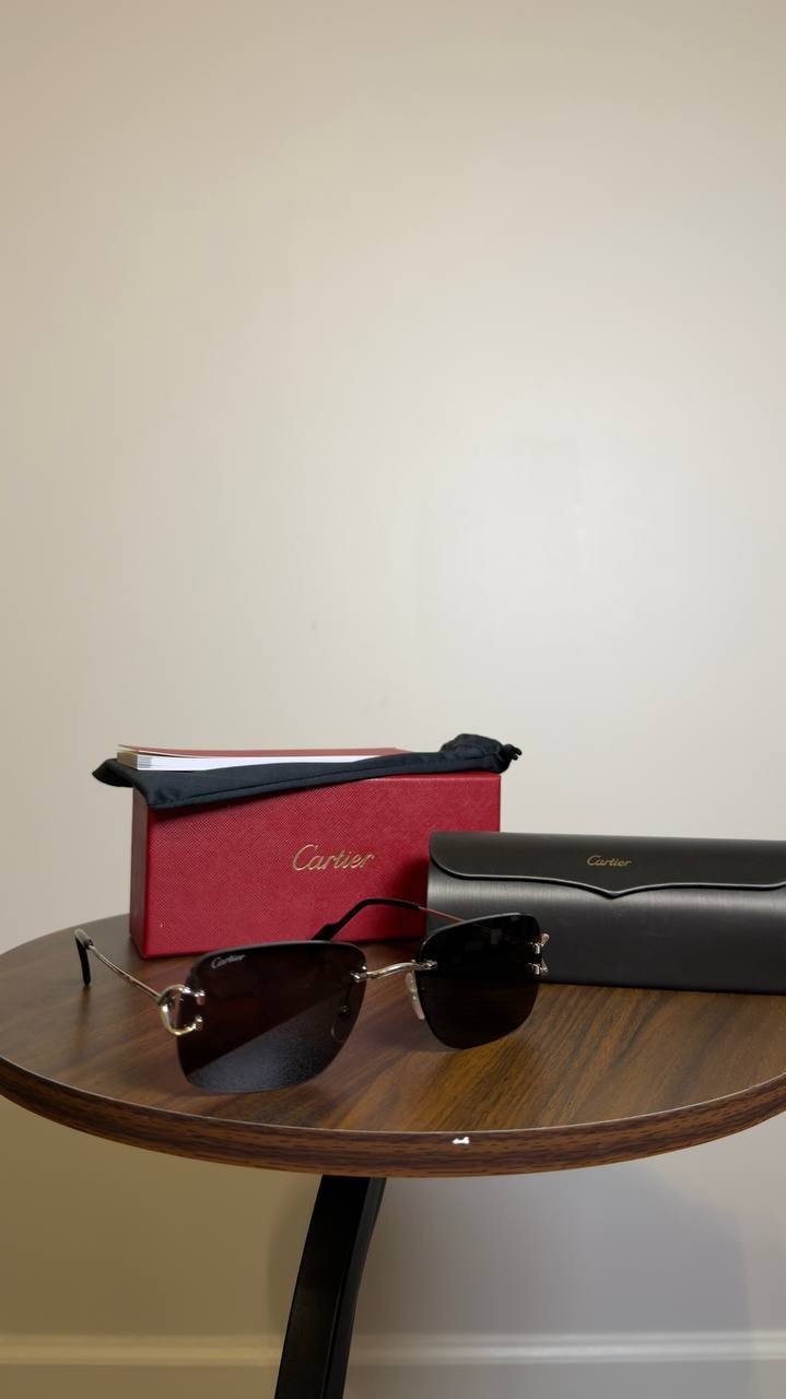 Cartier Sunglasses Silver/Grey OS NWOT