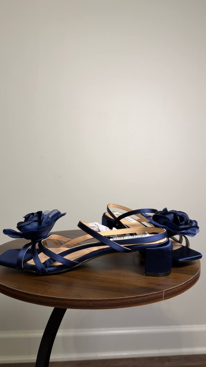 Charles  David  Slingback  Sandals  Navy  7.5M  New  $70