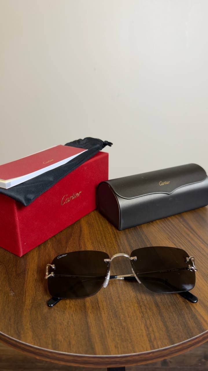 Cartier Sunglasses Silver/Grey OS NWOT