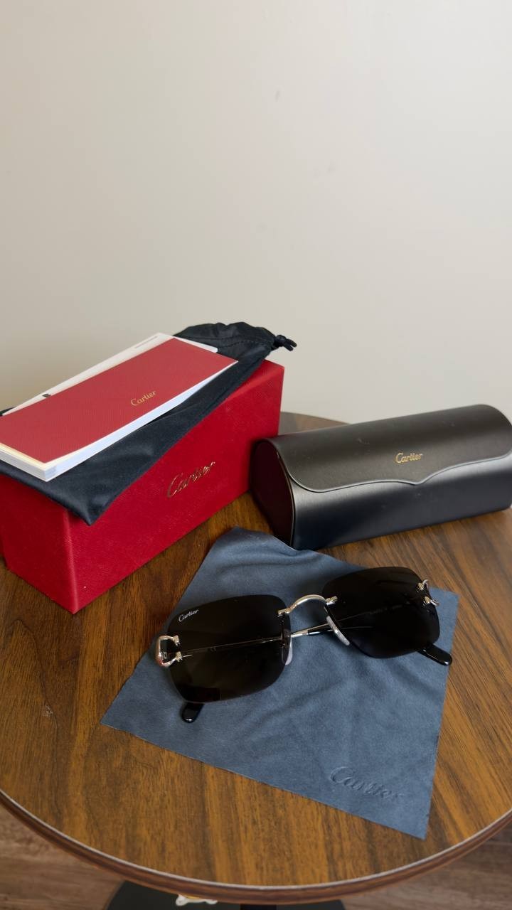 Cartier Sunglasses Silver/Grey OS NWOT