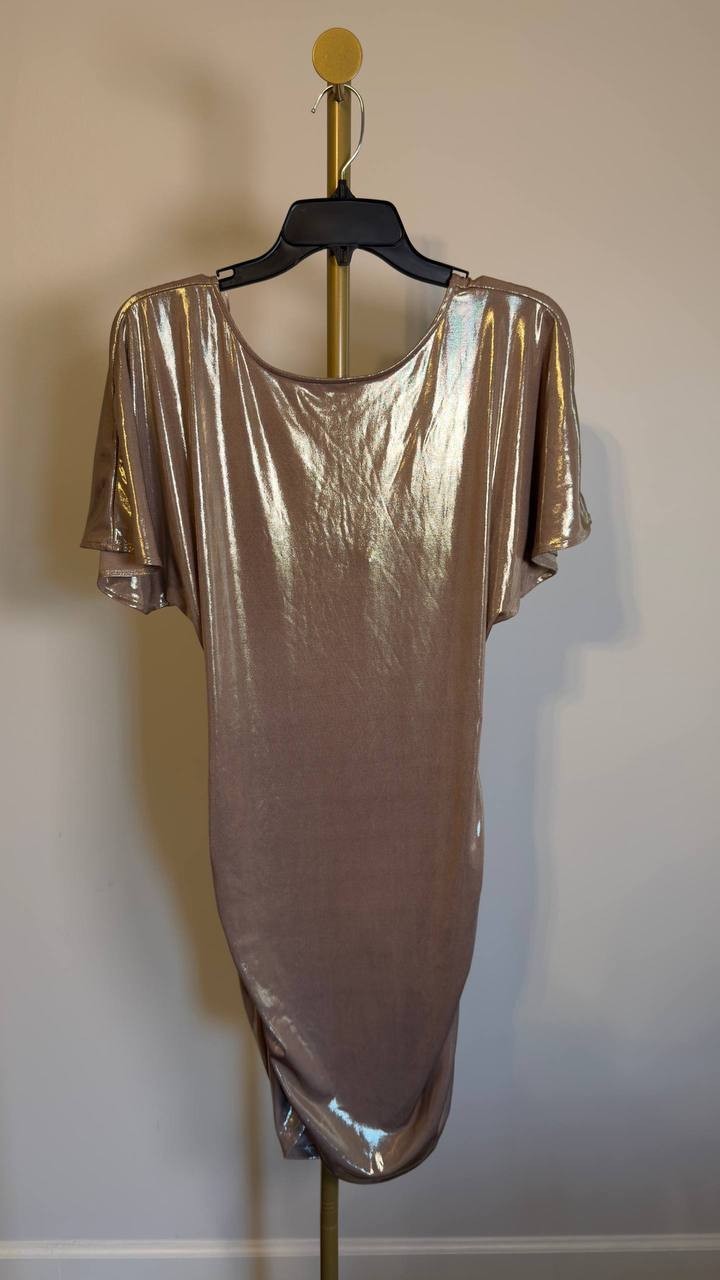 BOSS ECRYSTAL Cocktail Party Dress Beige S NWT $149