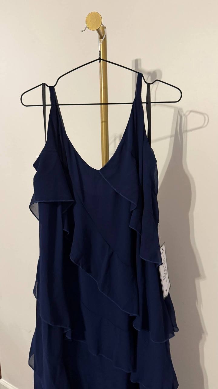 Here’s the complete eBay listing for the B. Darlin Trendy Plus Size V-Neck Sleev