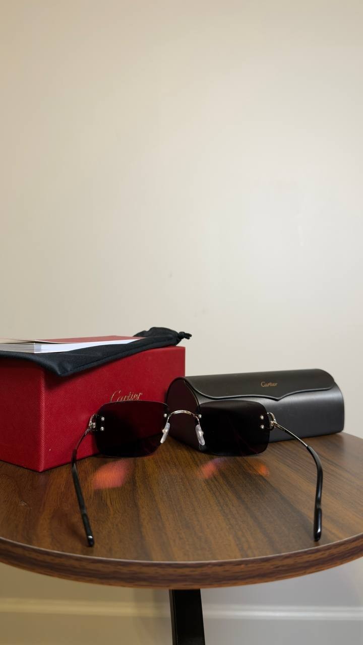 Cartier Sunglasses Silver/Grey OS NWOT