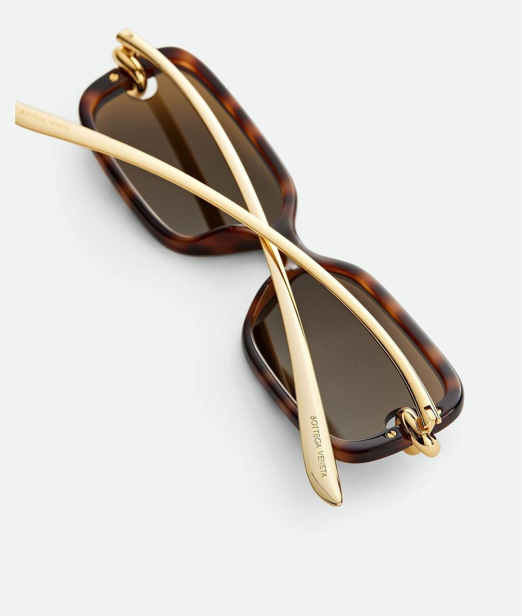 Bottega Veneta Sunglasses Havana/Brown OS NWOT $760.00