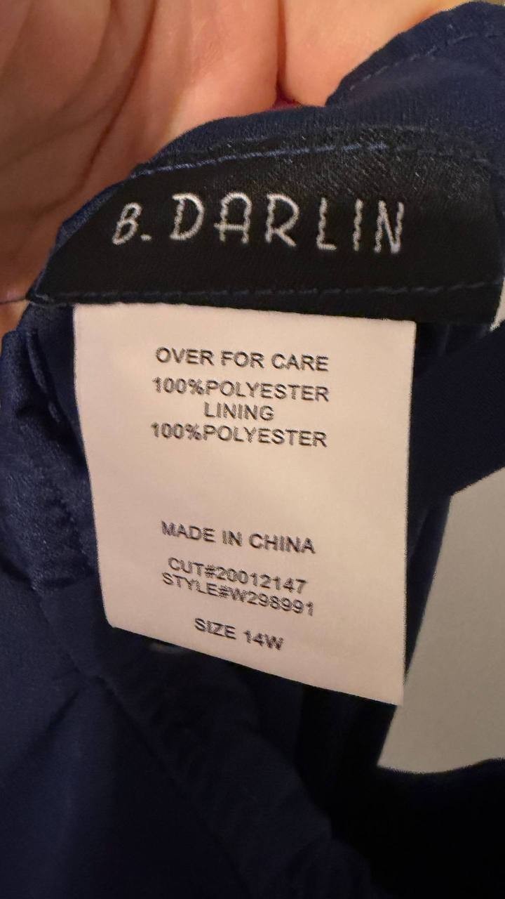 Here’s the complete eBay listing for the B. Darlin Trendy Plus Size V-Neck Sleev