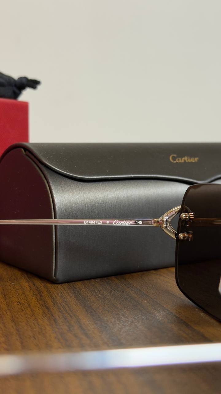 Cartier Sunglasses Silver/Grey OS NWOT